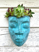Load image into Gallery viewer, SACRED MIND wall planter
